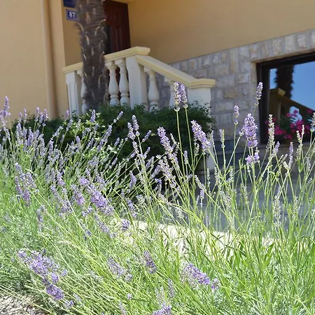 Studio & Kustura Casa de hóspedes Sukošan